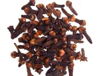 FB IMG 1599669485522