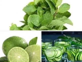 FB IMG 1599928647577