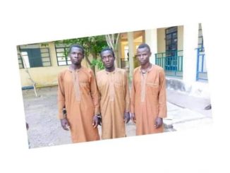 FB IMG 1624803385536