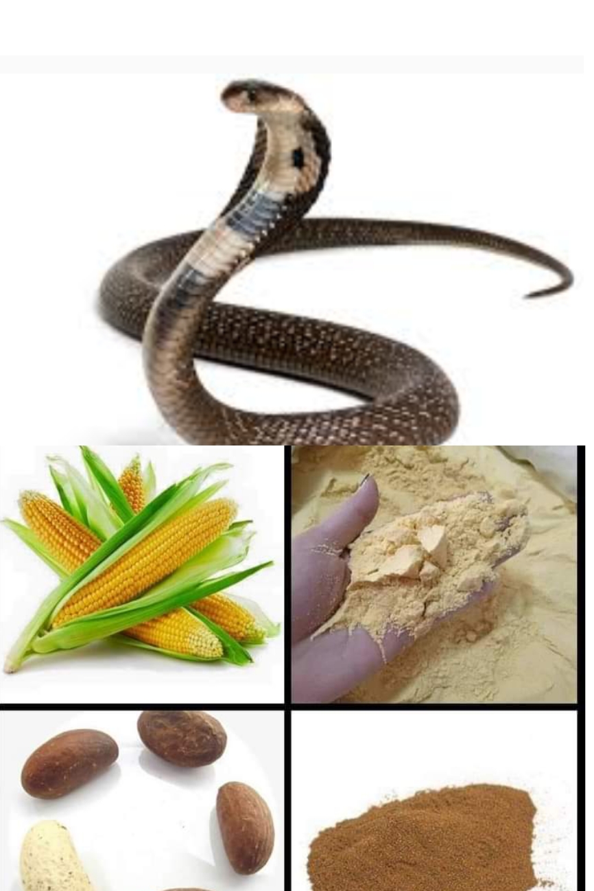 How To Use Dried Corn/bitter Kola To Chase Away Snakes Gistcore Media