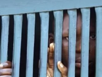 0Jpk9kqTURBXy85MWI3ZGE1Zjc0YWZjODI4OGUzMmNmMzRhZGFlNTY1ZC5qcGVnkpUDABPNAoDNAWiTBc0CgM0BQIGhMAU