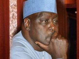 images 8 1 739x375 1