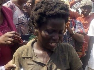 470DA5FF 4570 4BDF 90BC A9EB48A55F4A