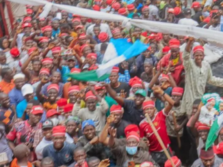 NNPP members with Kwankwasiyya red caps 687x400 1