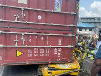 WhatsApp Image 2023 01 29 at 3.37.36 PM 768x634 1