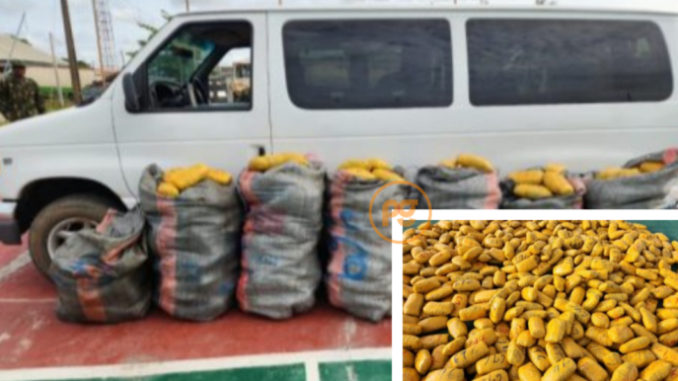 Busload-of-narcotics-687x400
