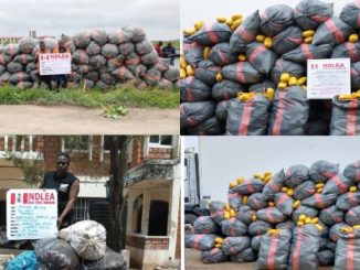 Collage maker 25 jun 2023 01 20 pm 7938