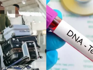 Gridart 20230801 123622643 1200x603.jpg