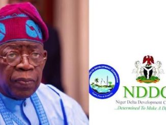 images282829281829 0