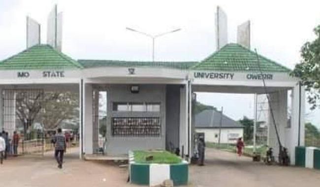 IMo university