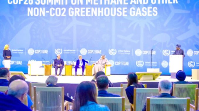 Outrage-over-Nigerias-1411-delegates-to-COP28-summit-768x497