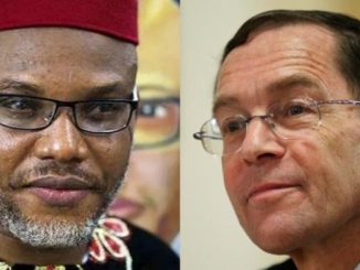 brucefeinandnnamdikanu