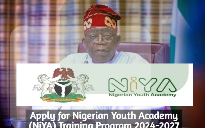 Apply For Nigerian Youth Academy (NiYA) Training Program 2024-2027 ...