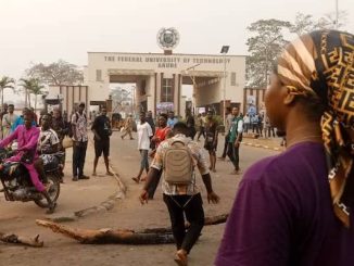 14F49B96 D24D 4619 9150 B8A664DA4979