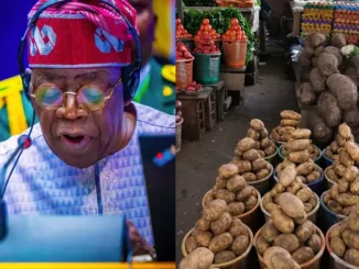 Screenshot 2024 02 06 134223