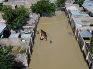 Borno flood 768x432