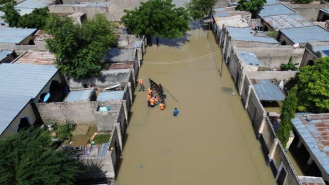 Borno-flood-768x432