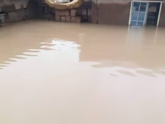 whatsapp image 2024 09 26 at 9.37.02 am 768x1024 1