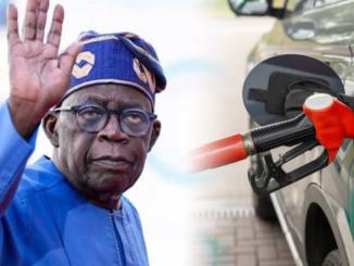 Untitled 1 Recovered Recovered 9