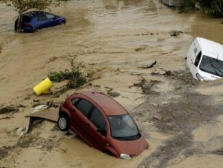 r0 0 800 600 w800 h600 fmax e1730289872542 694x400 1