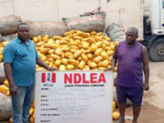 Untitled 1 Recovered Recovered Recovered Recovered Recovered Recovered Recovered Recovered Recovered Recovered 142