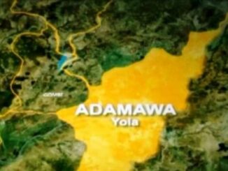 Adamawa 750x536 1