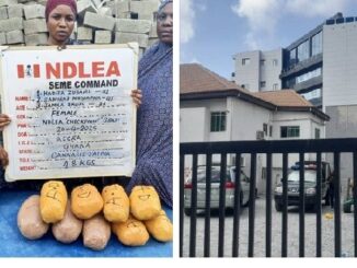 Screenshot 20250427 123410