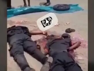 Screenshot 20250429 183419