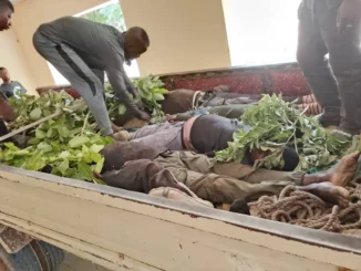 deadly attack in Adamawa 1.jpg