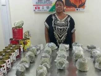 0010acb1 3bbd 49cf 8290 62eaf5cb709c