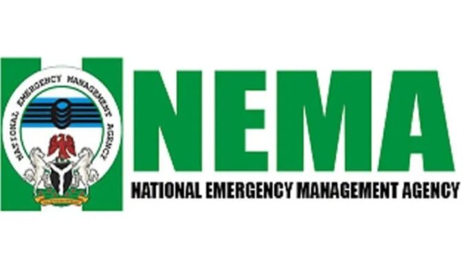 NEMA-1