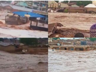 WhatsApp Image 2025 05 29 at 19.21.39 4b3abbf4