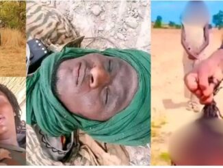 Screenshot 20250626 111857