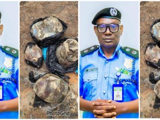 sr file 2025 07 30T105931.247