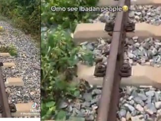 sr file 2025 08 01T153950.135