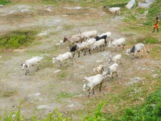 sr file 2025 08 25T112607.755