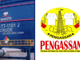 Dangs pengas 768x432 1