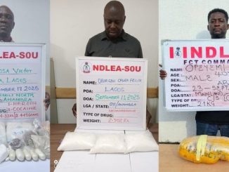 Ndlea suspects