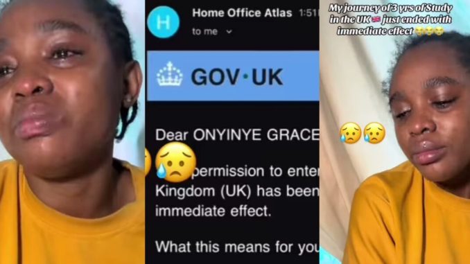 Photogrid plus 1758332179943 1200x600 (1)