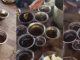Food school 768x327