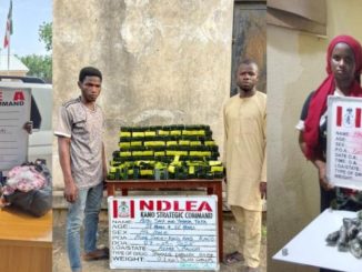 Sr file 2025 09 28t141623.718 (1)