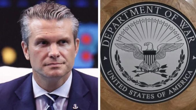 Created by photogrid