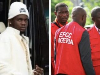 Created by photogrid