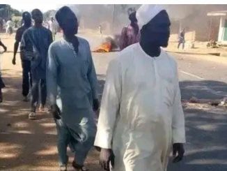 Screenshot 20251111 141047