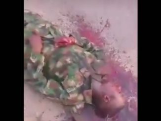 Screenshot 20251117 191519