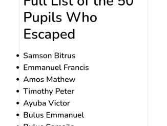 Screenshot 20251123 165213