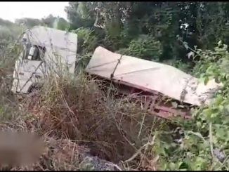 2025 12 01 1650355035