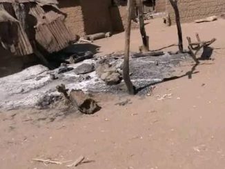 IMG 20251231 WA0007 1